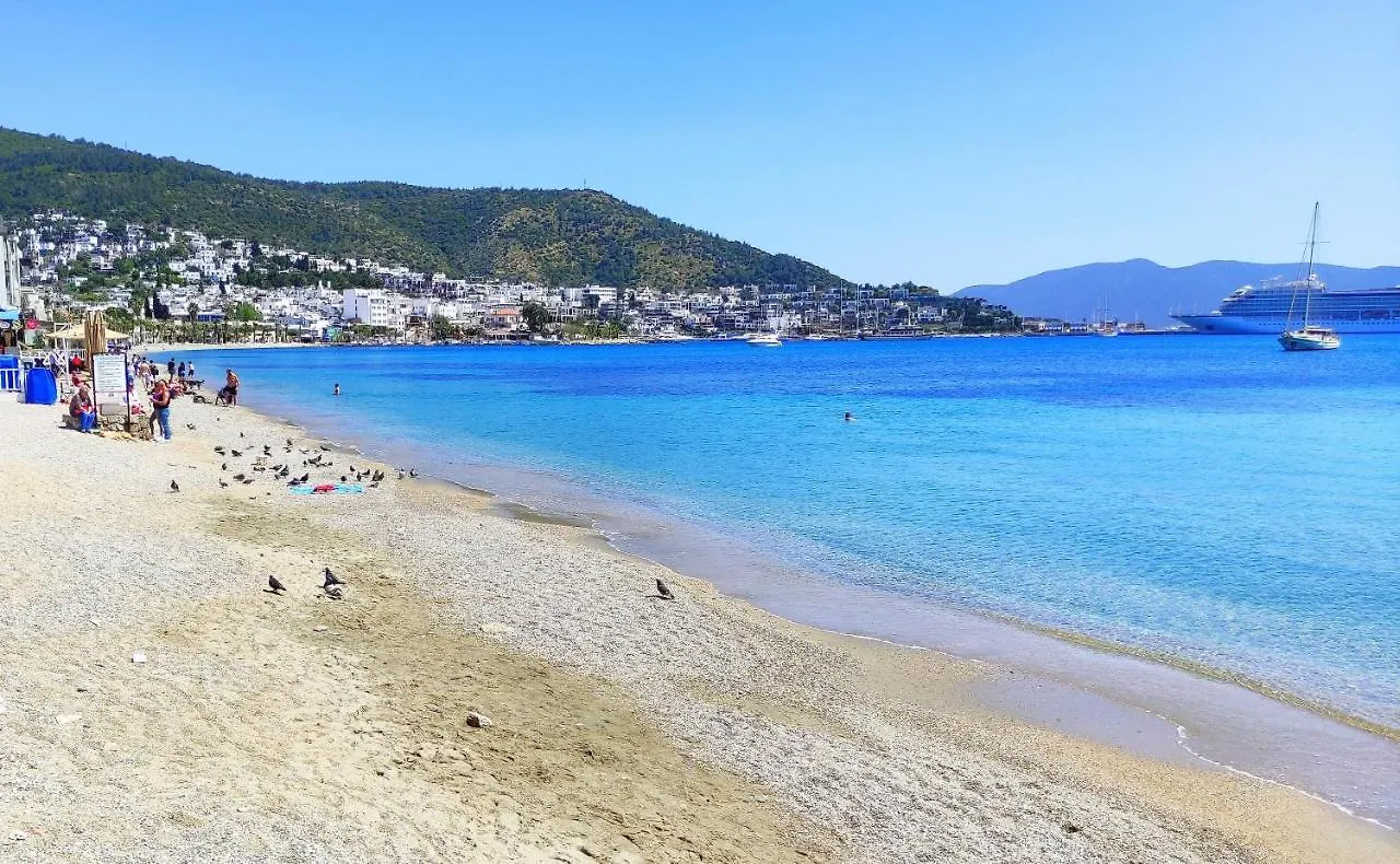 Central Stone House, 2Br, Cozy, Spacy, Terrace, Fast Wifi, Parking Bodrum 0*,